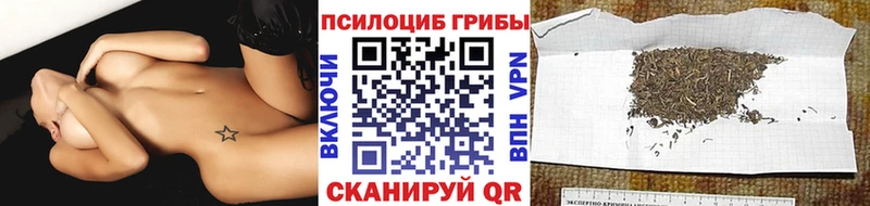 Галлюциногенные грибы Cubensis  Купить  Комсомольск 